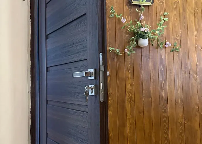 Hristina دوبرينيشت